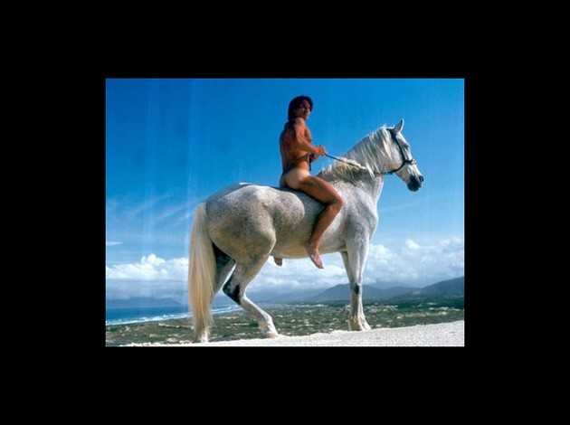 horse7.jpg
