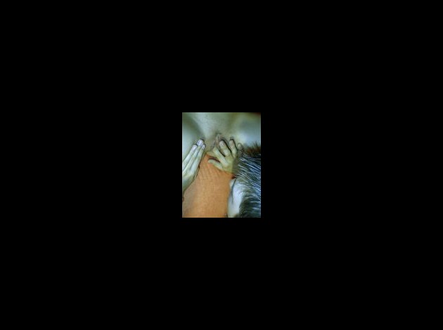 Galerie_01-images-thumbs-20.jpg
