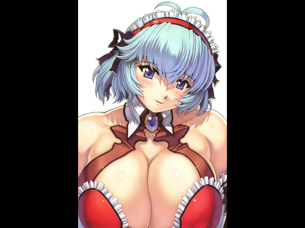anri meido00