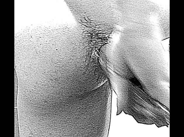 cucurbit 7627