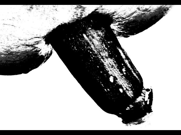 cucurbit 7628