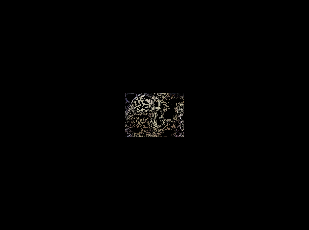 Myr1--22-.gif