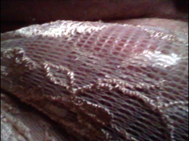P11-08-09_20.54-01-.jpg