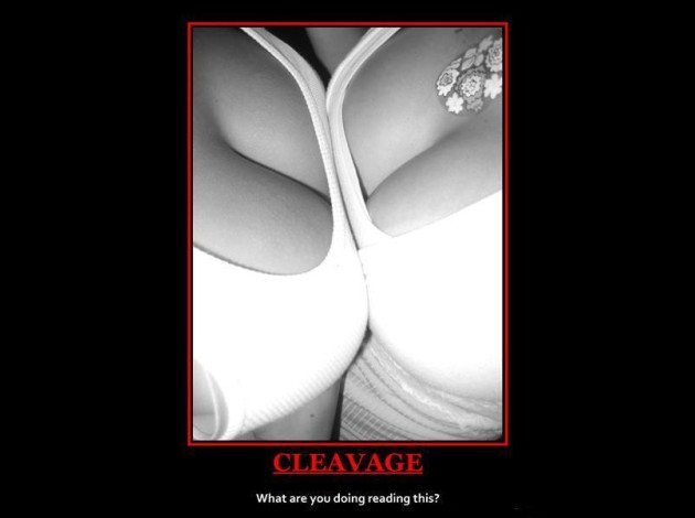 cleavage.jpg