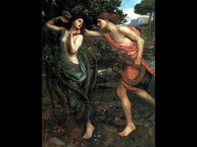 apollo und daphne