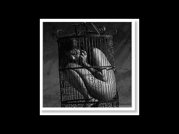 woman in cage