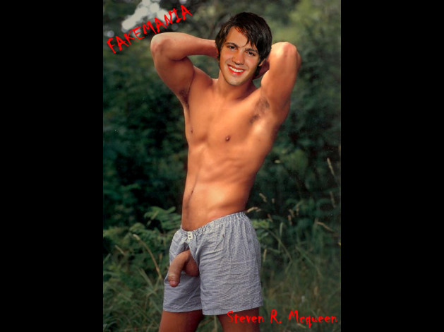 steven r mcqueen 