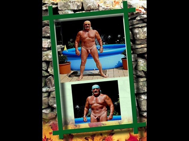 muscl-1.jpg