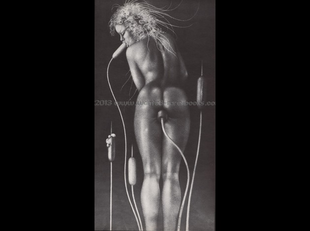 dessins-erotiques-de-bertrand-losfeld-1971-hors-commerce-n-