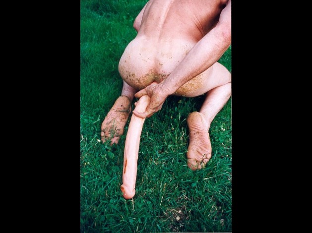Image27.jpg
