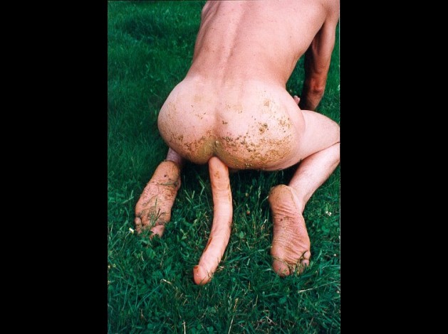 Image28.jpg