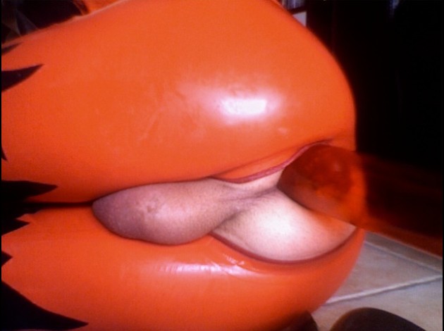 Photo 113