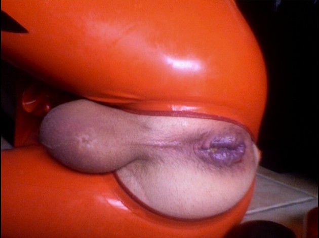 Photo 116