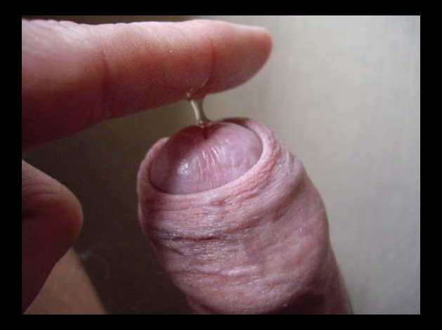 5ndr8pahnnqc
