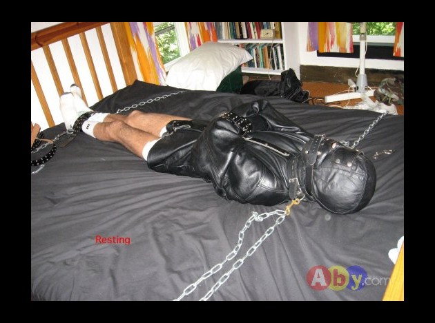 gallery 86235 wm