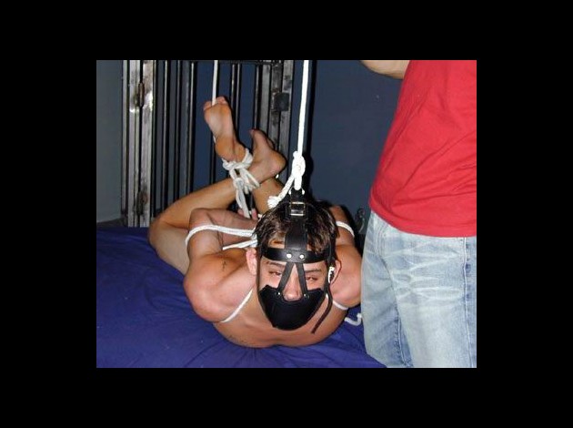 bdsm-1125-19