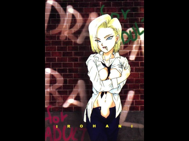 dragon ball z 017