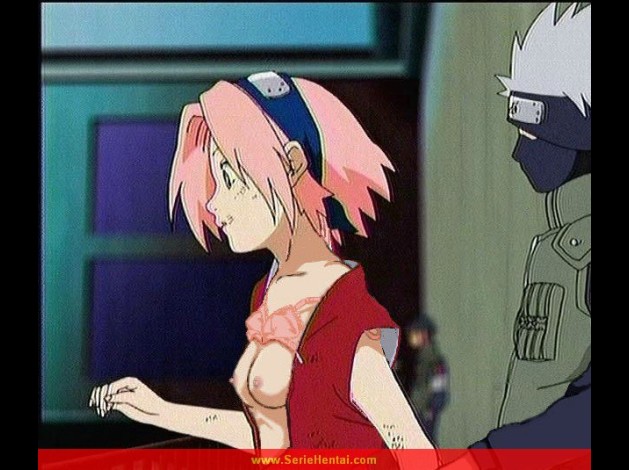 20040630956202