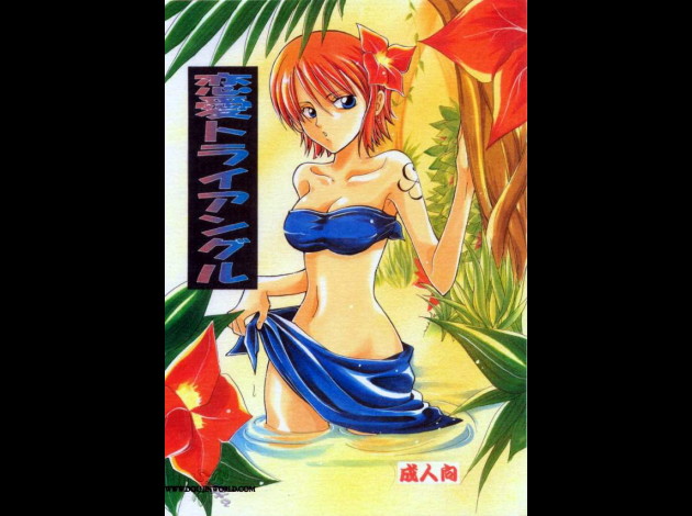 81884321688ea36bf8adfe2c0e1574d9 one -piece