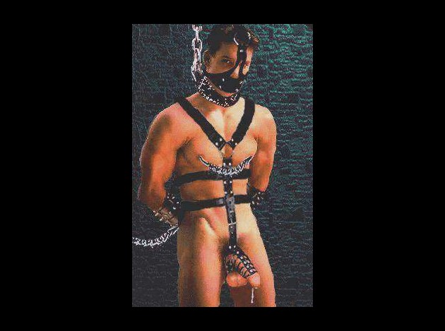Donjon   5 