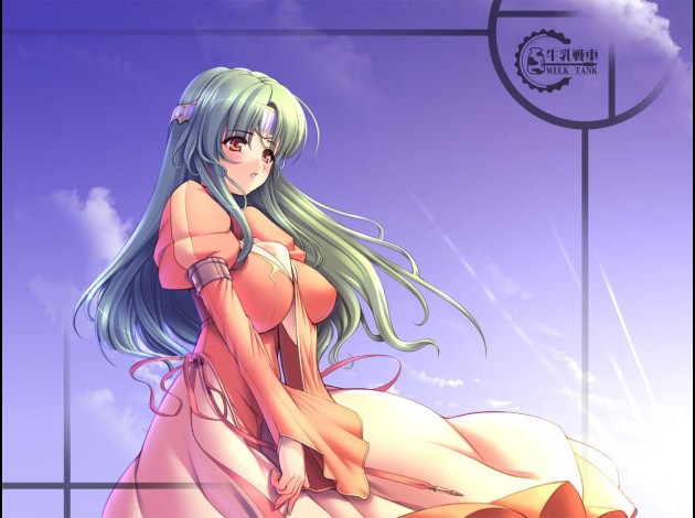 2 6
