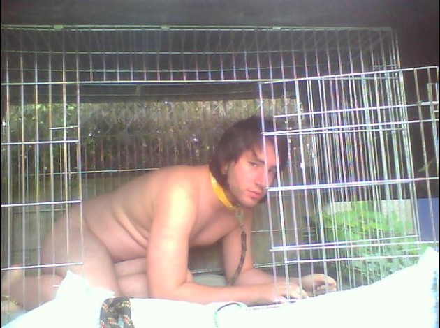 Pochi le chien 13