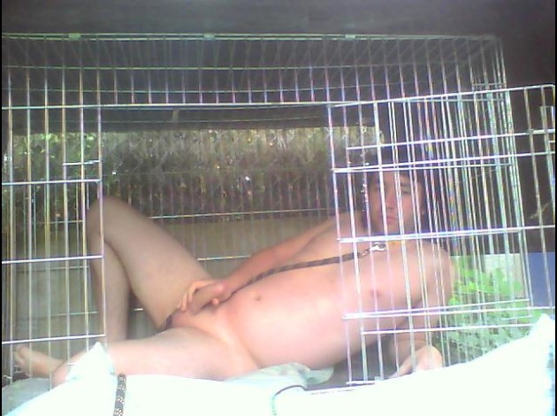 Pochi le chien 14