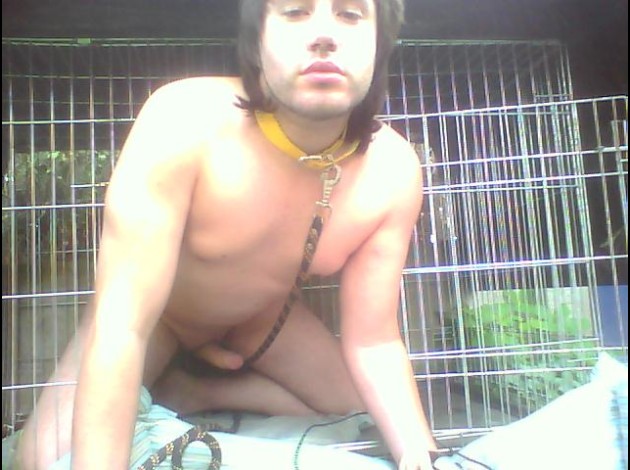 Pochi le chien 17