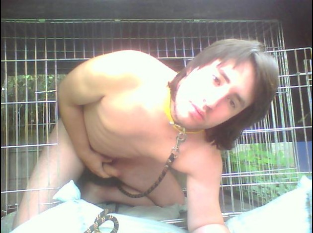Pochi le chien 18