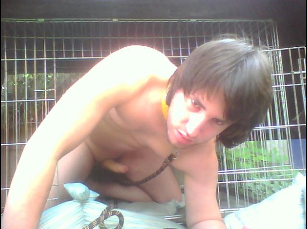 Pochi le chien 20