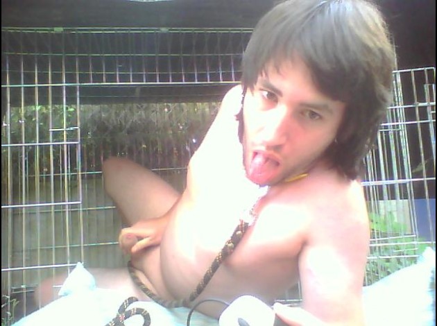 Pochi le chien 22