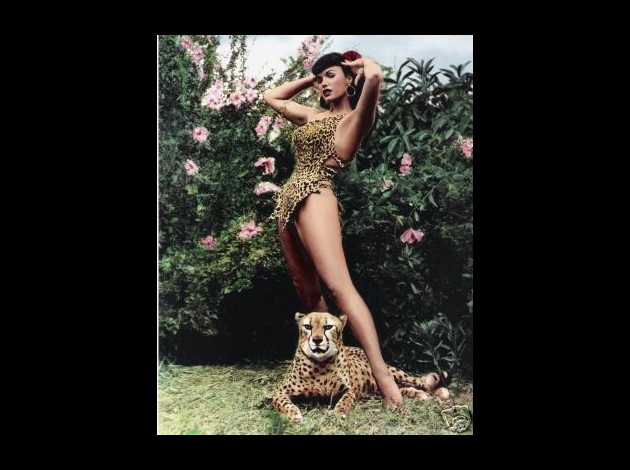 bettie-page-cheetah