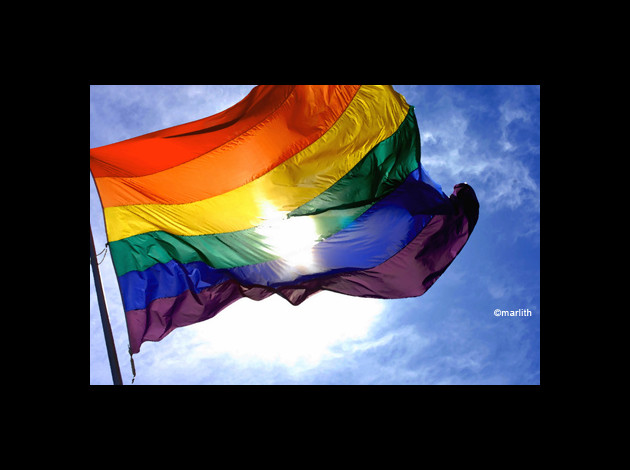 rainbow flag2