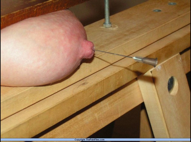 Aiguilles dans les seins (81)