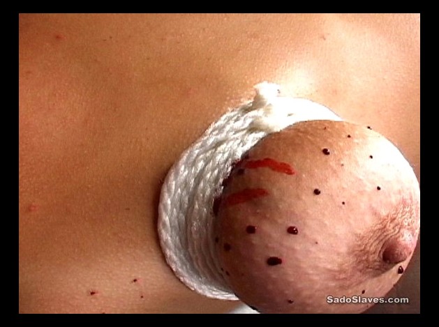 Aiguilles dans les seins2 (102)