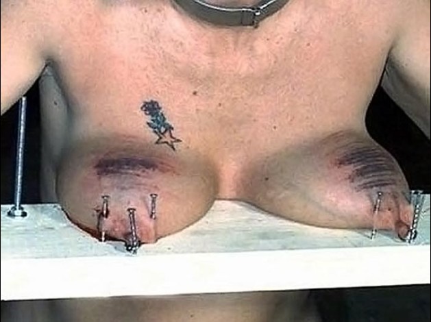 Aiguilles dans les seins2 (74)