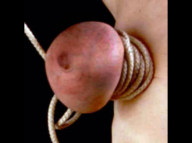 Travail des seins8 (197)