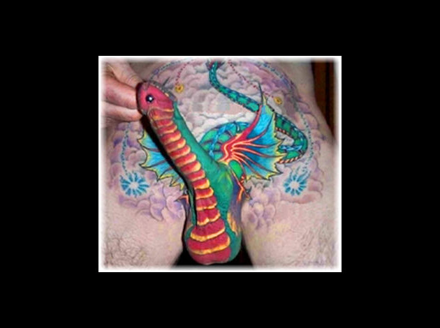 2594 dragon dick