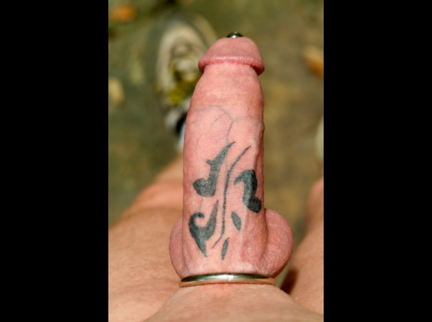 Penis tattoo 2