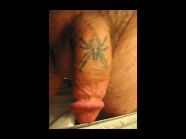 spider-tattoo-on-penis-21105572