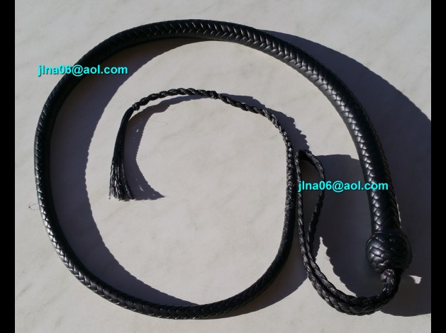 100510 Fouet snake signal noir 3 pieds 16 brins à 290,00€