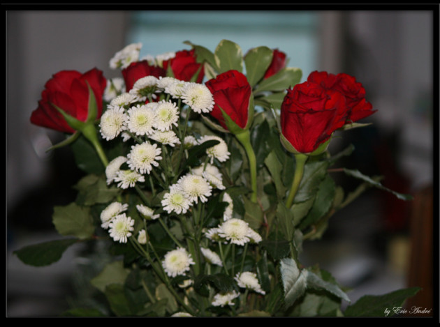 objets 0007 copie
