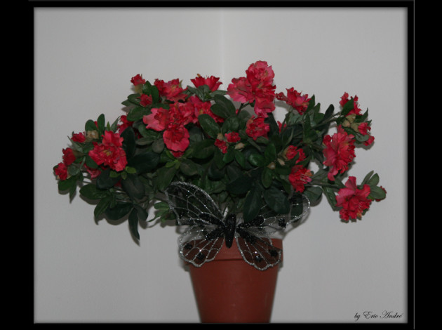 objets 0010 copie