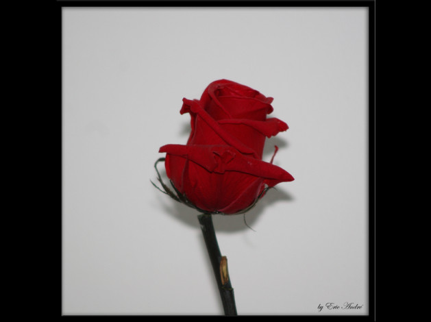 objets 0014 copie