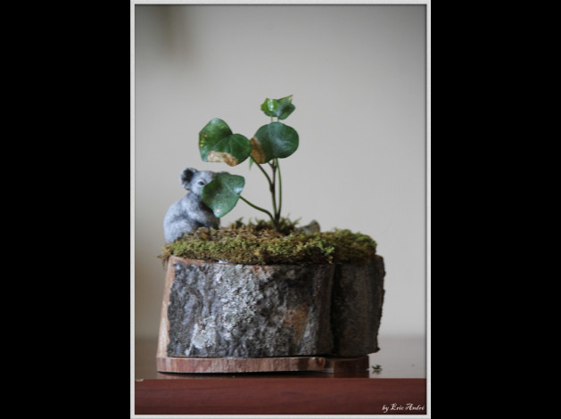 objets 8325 copie