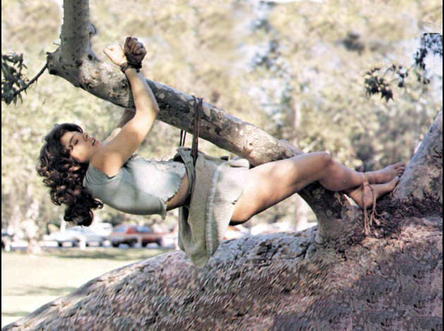 Tree Hugger