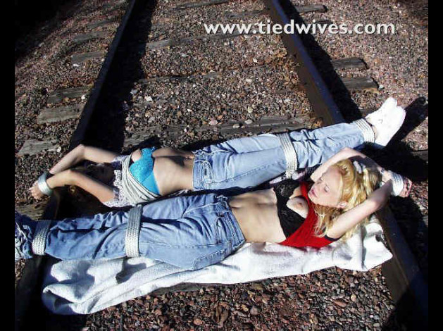tdwv041