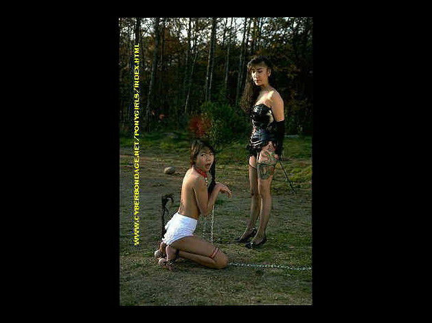 womenslavepets090