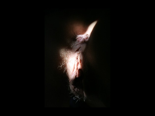 Galerie-12 1358