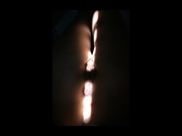 Galerie-12 1361